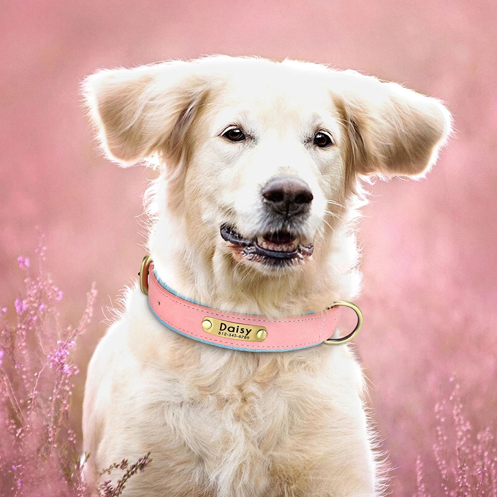 Collier pour Chien Personnalisé |Dog Collar™