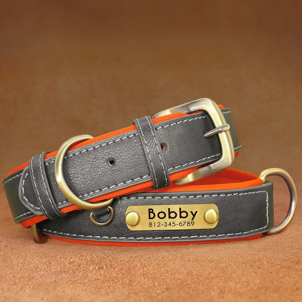 Collier pour Chien Personnalisé |Dog Collar™