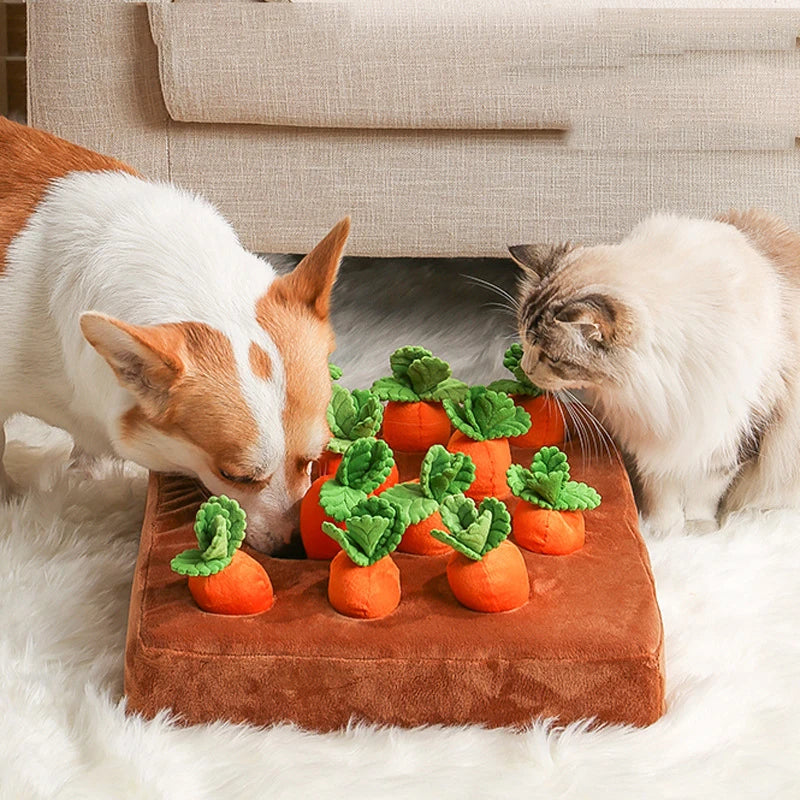 Jouet pour Chien de Jardin en Forme de Carotte