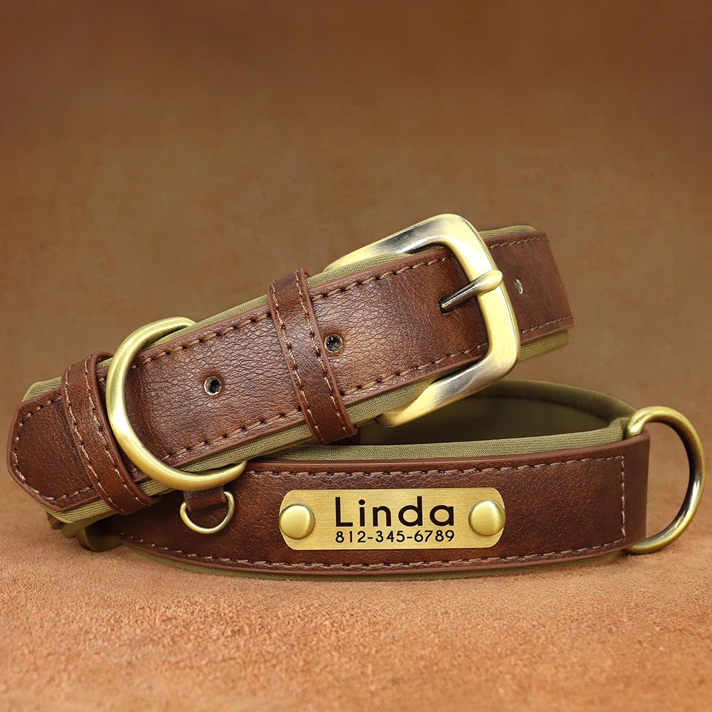 Collier pour Chien Personnalisé |Dog Collar™