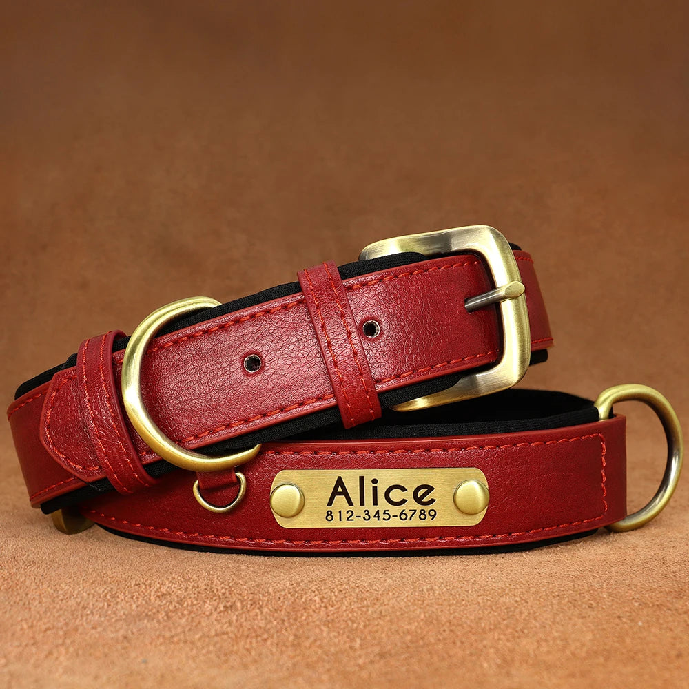 Collier pour Chien Personnalisé |Dog Collar™