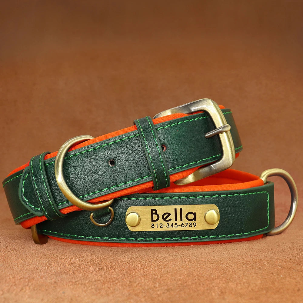 Collier pour Chien Personnalisé |Dog Collar™