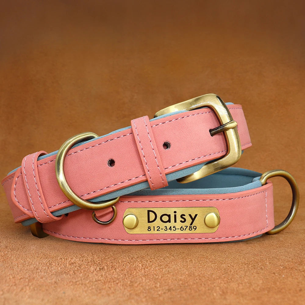 Collier pour Chien Personnalisé |Dog Collar™