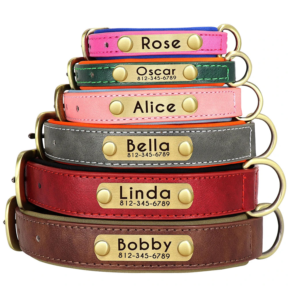 Collier pour Chien Personnalisé |Dog Collar™