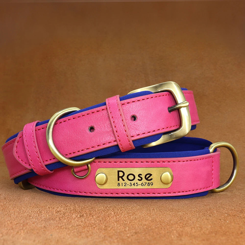 Collier pour Chien Personnalisé |Dog Collar™