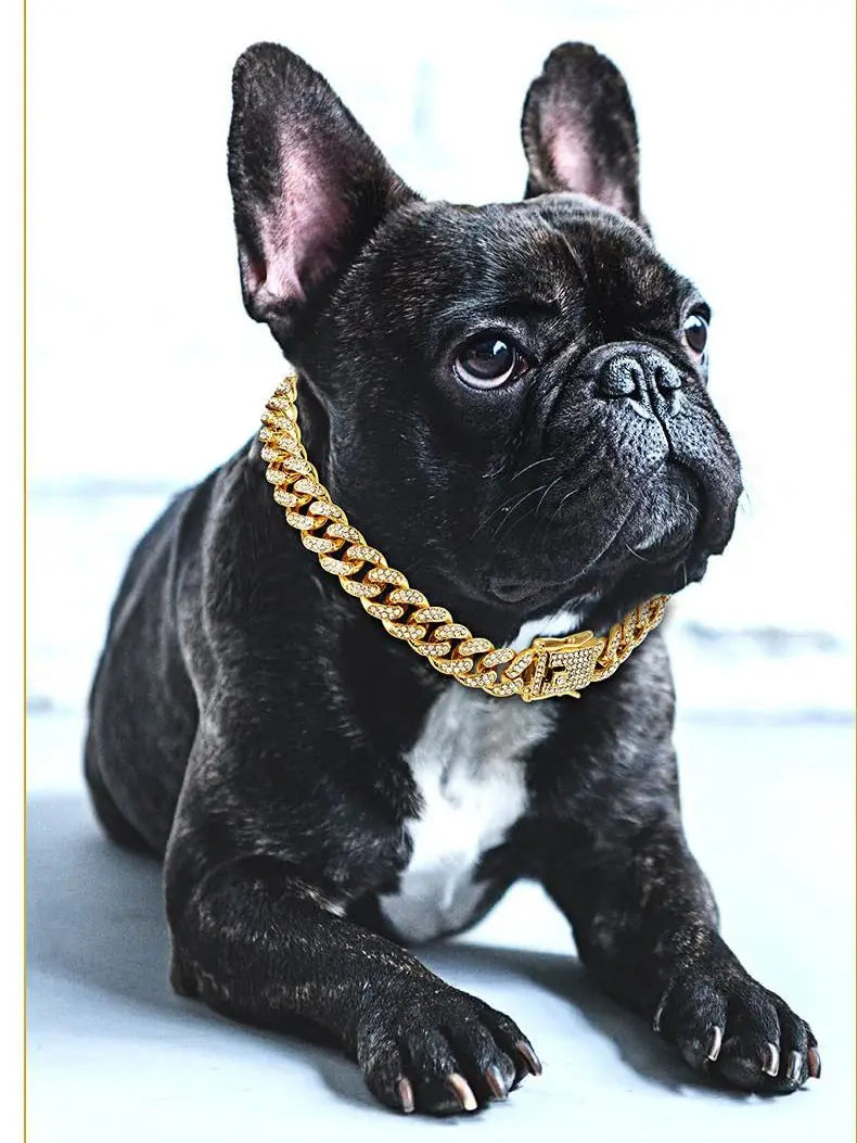 Collier cubain à diamants pour chien|JOD™