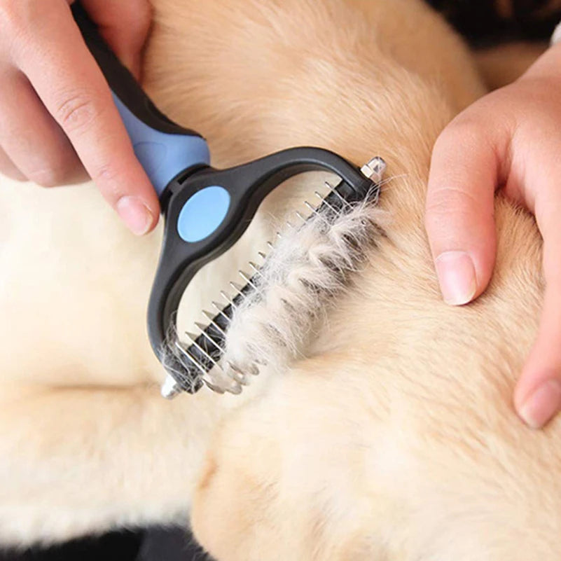 Brosse pour chien BrushDog