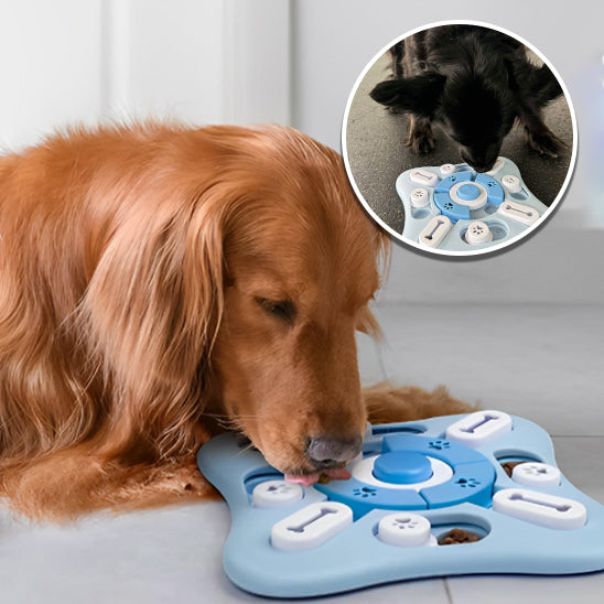 Croquette pour chien : Le Jouet Puzzle Interactif