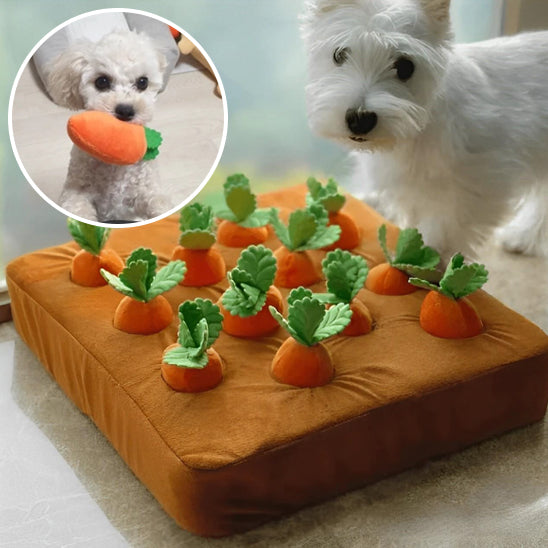 Jouet pour Chien de Jardin en Forme de Carotte